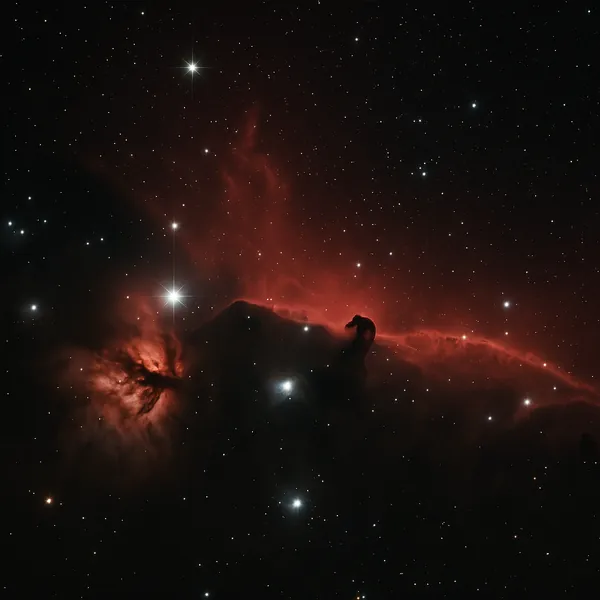 Discover a puzzle with a dramatic view of deep space: a dark, horse-shaped nebula silhouetted against glowing crimson and ember-red gas, scattered with bright,