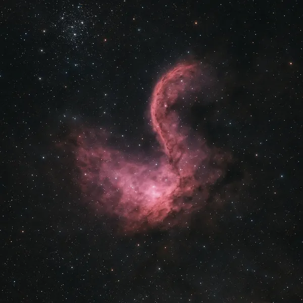 Discover a puzzle with a glowing pink nebula drifting through a star-filled night sky, its wispy tendrils curling into a graceful, almost feather-like shape aga