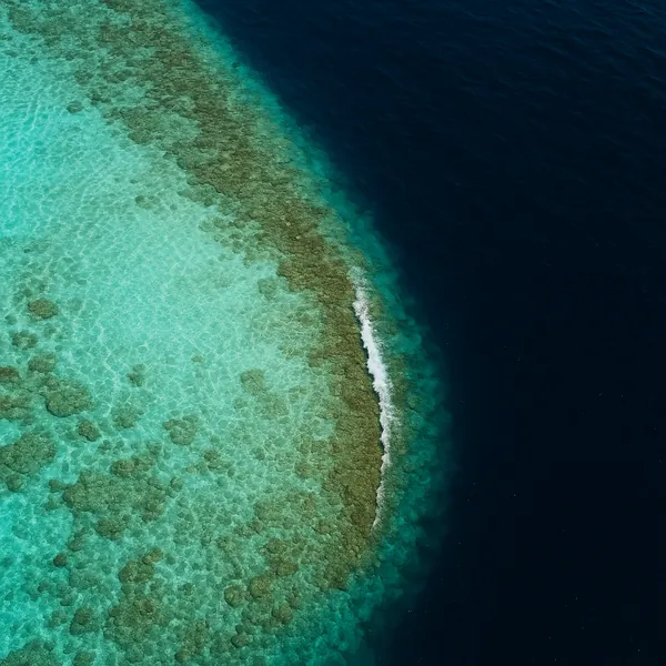 Enjoy an online jigsaw puzzle designed for browser play, featuring a stunning aerial view of ocean and coral reef in vibrant blues and greens.