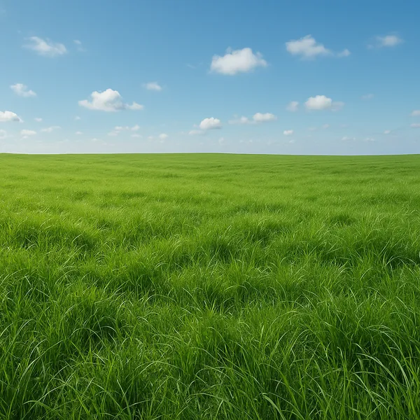 Enjoy an online jigsaw puzzle designed for browser play, featuring a wide-open green meadow under a bright blue sky.