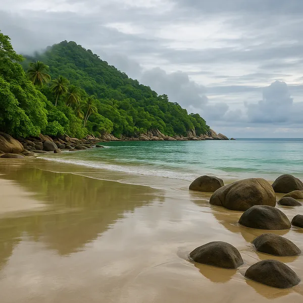 Enjoy an online jigsaw puzzle designed for browser play, featuring a tranquil tropical beach and verdant coastline that invite a peaceful moment of play.