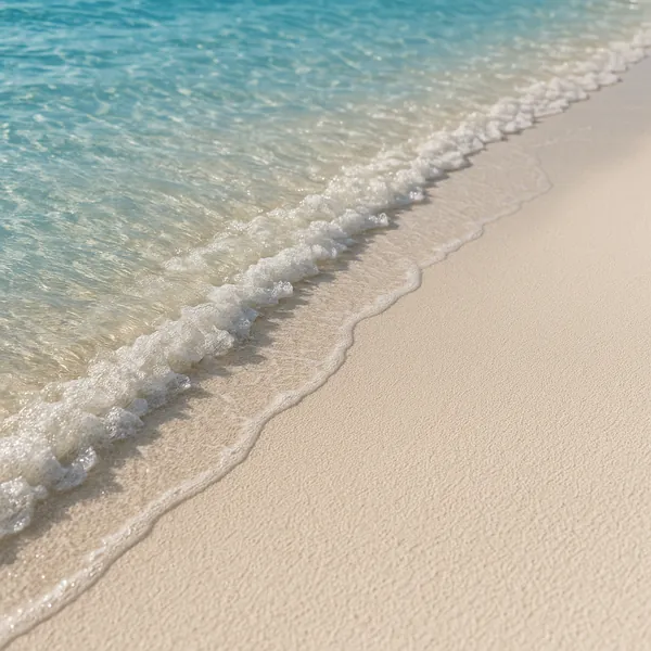 Enjoy an online jigsaw puzzle designed for browser play, featuring a tranquil beach scene that celebrates nature and the sea.
