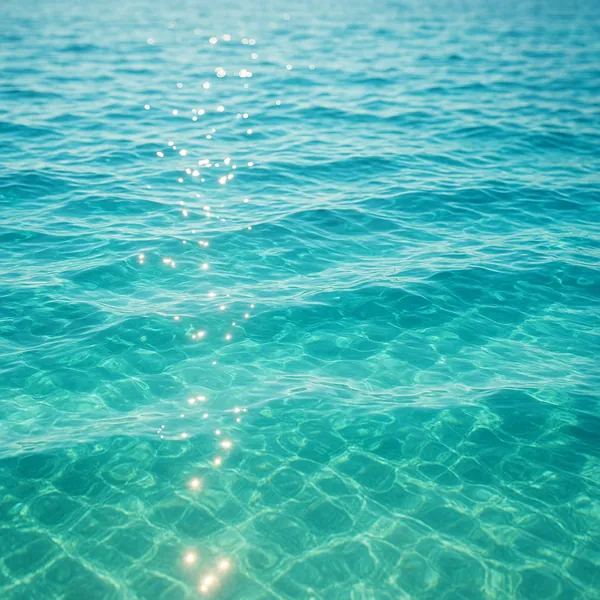 Enjoy an online jigsaw puzzle designed for browser play, featuring a sunlit sea scene that celebrates the beauty of nature and water.