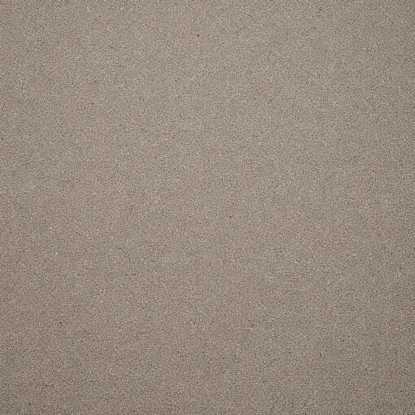 Enjoy an online jigsaw puzzle designed for browser play, featuring a close-up view of a sandy texture that evokes nature and calm.