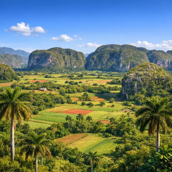 Enjoy an online jigsaw puzzle designed for browser play, featuring a sunlit tropical landscape and rolling karst hills.
