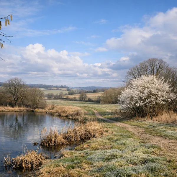 This online jigsaw puzzle features a tranquil rural landscape showcasing nature at its gentlest, perfect for a browser-based moment of calm.
