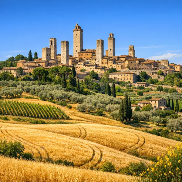Enjoy an online jigsaw puzzle designed for browser play, featuring a sunlit Tuscan hilltown rising above vineyards and golden fields.